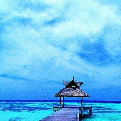 江南足球app手机app下载